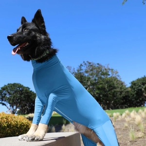 Combinaison pour chien bleu ciel en tissu élastique avec fermeture éclair pour grands chiens