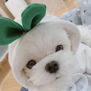 Close-up of white plush pet hoodie with cute green leaf detail and soft drawstrings