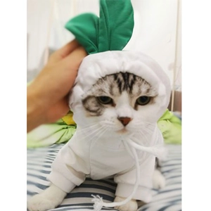 Close-up of a white cat hoodie featuring green leaf accents and adjustable drawstring details