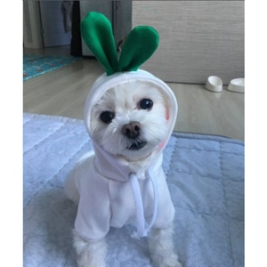 Close-up of white pet hoodie with green sprout detail and drawstring on a small dog