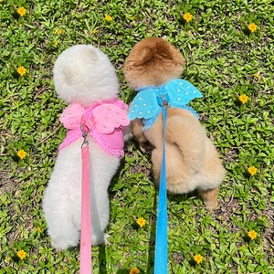 Detail of angel wing pet harness with lace and pearls on two dogs over green grass