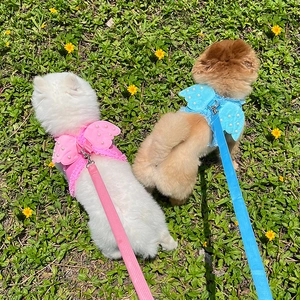 Detailed back view of pet harness featuring 3D angel wings and pearls on grass