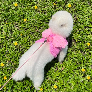 Close-up of pink pet harness with pearl wings and lace details on green grass