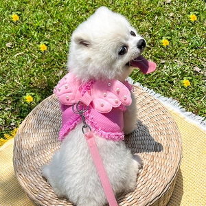 Pink pearl angel wing pet harness and leash set for small dogs on breathable mesh fabric