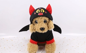 Close-up of a festive pet hoodie with red devil horns and black wings on a teddy dog