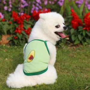 White Pomeranian wearing a green breathable mesh dog vest with avocado print on grass
