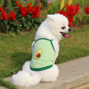Close-up of a white dog wearing a breathable green mesh vest with avocado print in a park