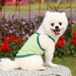 Breathable light green mesh pet vest worn by a white Pomeranian in a garden setting