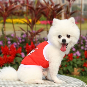 Close-up of red breathable mesh pet vest with cute cartoon pattern on small dog