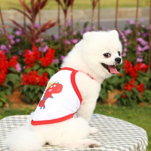 Detail of red cartoon dinosaur print on a white breathable mesh vest for small dogs