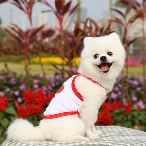 Close-up of breathable mesh pet vest featuring a cute strawberry print and red trim