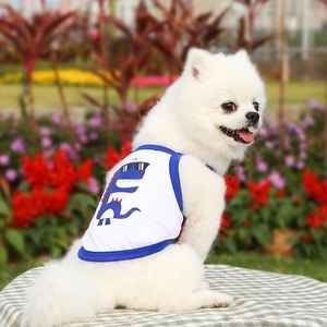 Close-up of white breathable mesh pet vest with a blue cartoon dinosaur on a Pomeranian