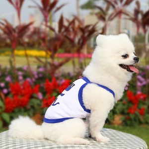 White Pomeranian dog wearing a breathable mesh summer pet vest in a colorful garden scene