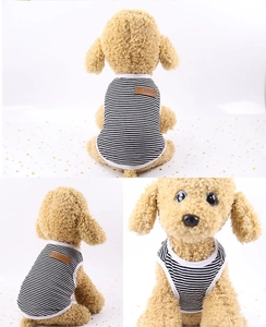 Macro shot of black and white striped dog vest featuring a classic leather brand patch
