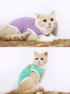 Classic striped cotton vest for dogs and cats with leather label in purple and green