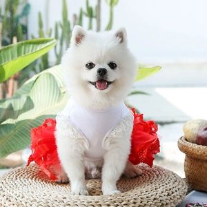 Detailed close-up of a pet dress featuring white lace straps and a red layered tulle skirt