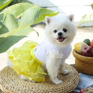 Detail of dog fruit dress featuring yellow polka dot organza skirt and lace vest