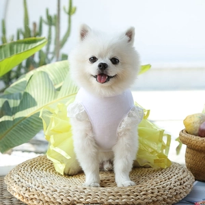 Detail of white cotton pet dress with yellow organza skirt and lace sleeves on a Pomeranian