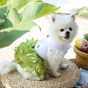 Detail of pet fruit dress with white lace sleeves and green layered mesh tutu skirt
