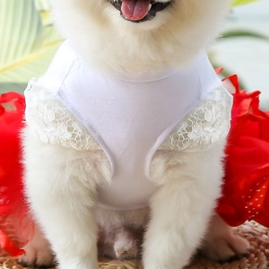 Close-up of white lace pet dress with red mesh skirt and polka dot pattern for dogs