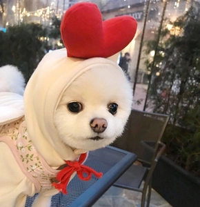 Couvre-chef crème mignon avec cœur rouge et nœud pour petits chiens et chats