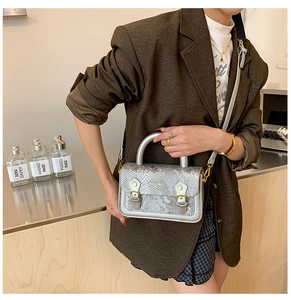 Detail of silver handbag featuring snake pattern flap and vintage metallic buckle