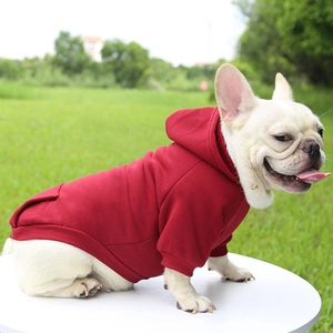 Close-up of red pet hoodie with ribbed cuffs and hem on a French Bulldog