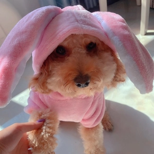 Soft Coral Fleece Pet Jumpsuit Pink Bunny Costume Long Rabbit Ears Hooded Warm Puppy Cat Apparel For Small Animals