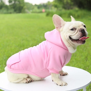 Close-up of a pink pet hoodie with a pocket worn by a French Bulldog outdoors