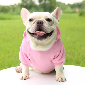 Pink pet hoodie detail on a French Bulldog showing ribbed cuffs and soft fabric texture