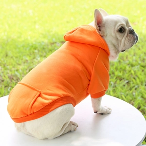 Detail of orange pet hoodie featuring a pocket and ribbed cuffs on a French Bulldog
