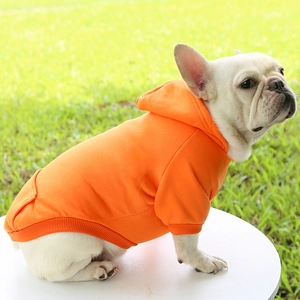 Detail of orange pet hoodie with back pocket and hood on a white French Bulldog