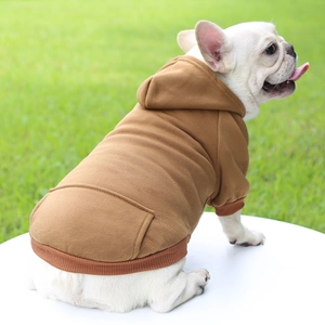 Close-up of brown dog hoodie with kangaroo pocket and ribbed cuffs on white bulldog