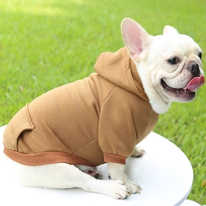 Brown dog hoodie detail featuring ribbed hem and decorative back pocket on French Bulldog