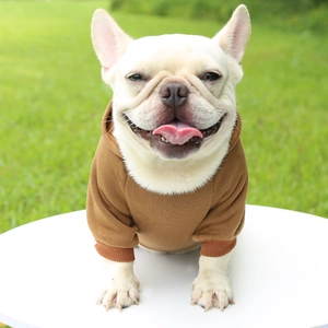 Detail of brown hooded pet sweatshirt featuring ribbed cuffs on a French Bulldog