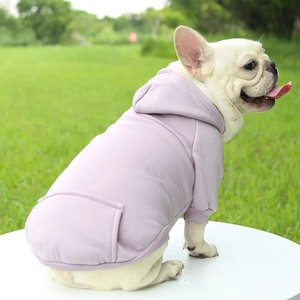 Lavender pet hoodie with kangaroo pocket on French Bulldog sitting on white platform