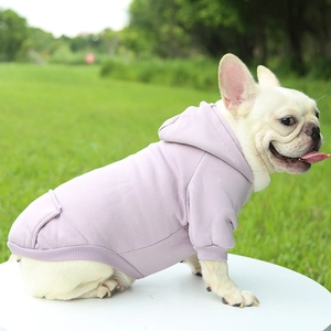 Lavender pet hoodie with back pocket detail shown in a natural outdoor park setting