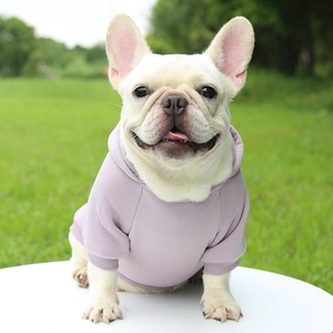 French bulldog wearing a light purple hooded pet sweatshirt on a green lawn