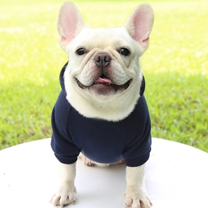 Detail of ribbed cuffs on dark blue pet hoodie worn by a French Bulldog outdoors