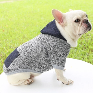 Detail of grey pet hoodie with denim pocket and ribbed cuffs on a French Bulldog