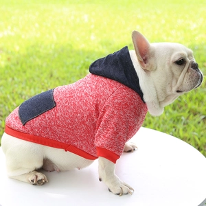 Detail of red and white knit pet hoodie with denim pocket worn by white French Bulldog
