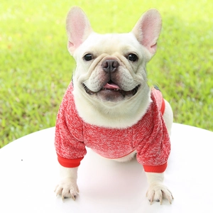 Close-up of red dog sweater featuring ribbed cuffs and soft knit texture details