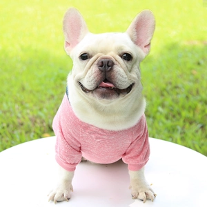 Close-up of heather pink pet t-shirt fabric on French Bulldog against a green lawn