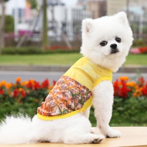 Detalle del chaleco de malla para mascotas con estampado 3D realista de piña amarilla