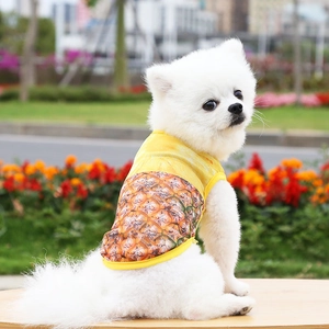 Perro pequeño con chaleco de malla amarillo con estampado de piña en mesa de madera