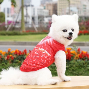 Detalle del chaleco rojo transpirable para perro con estampado de fresas en un perro