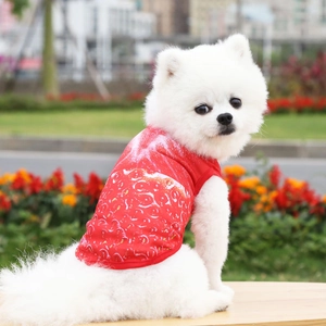 Detalle del estampado de fresas rojas en la tela de malla transpirable del chaleco mascota