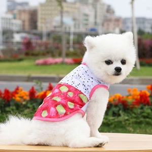 Detalle de chaleco transpirable para mascotas con estampado 3D de fruta del dragón