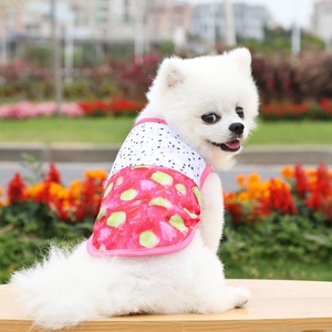 Chaleco de malla transpirable para perro con estampado de pitaya 3D para verano
