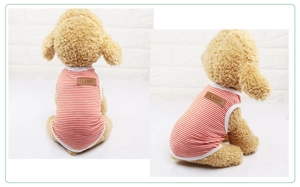 Gros plan du t-shirt rayé rouge et blanc pour animaux avec étiquette en cuir classique